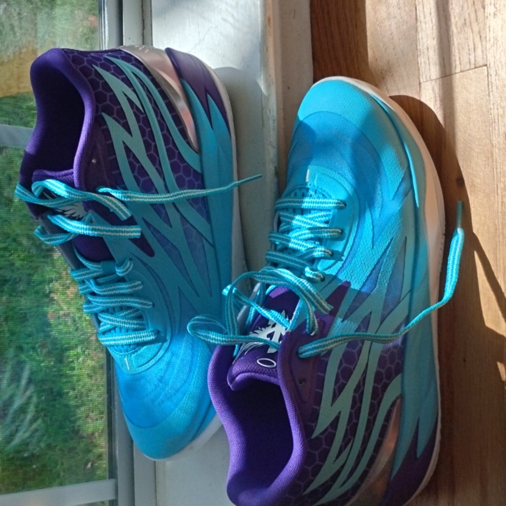 Trying to start a shoe business